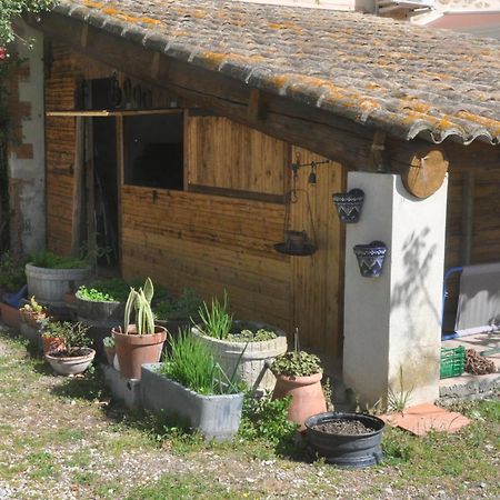 מלון Entraigues-sur-la-Sorgue La Ferme De Tonton Jules 2 מראה חיצוני תמונה